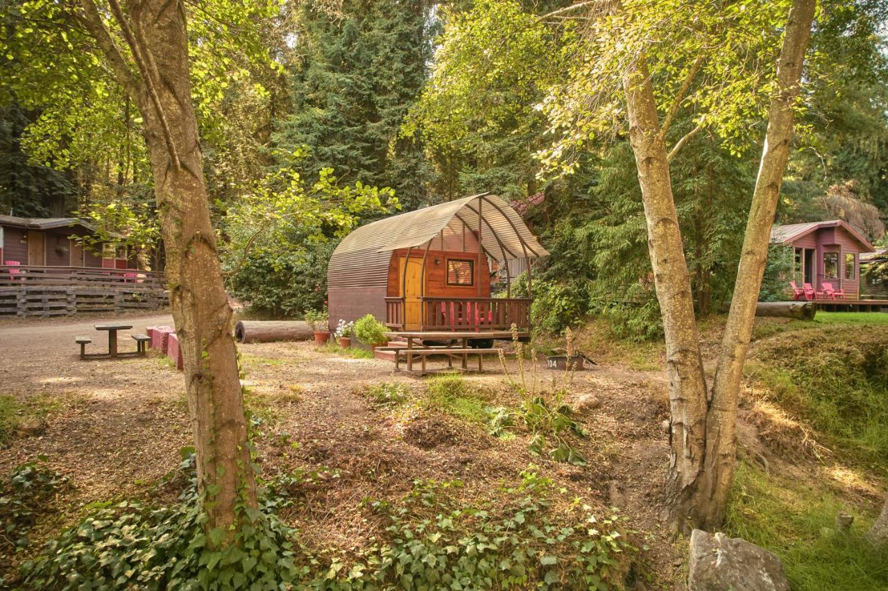 Big Sur Campground And Cabins Buitenkant foto